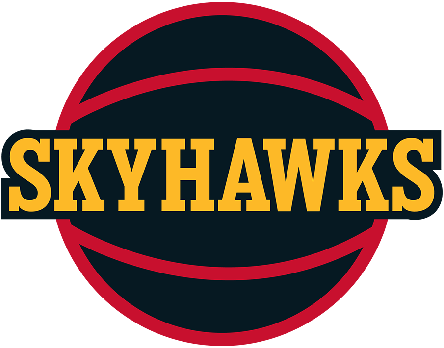 College Park Skyhawks 2019-Pres Alternate Logo iron on heat transfer